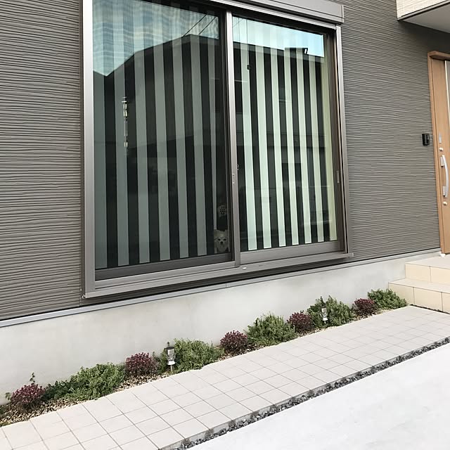 Mihocoさんの実例写真
