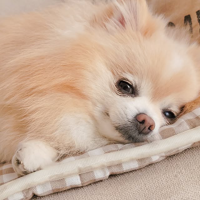 RinRinさんの部屋