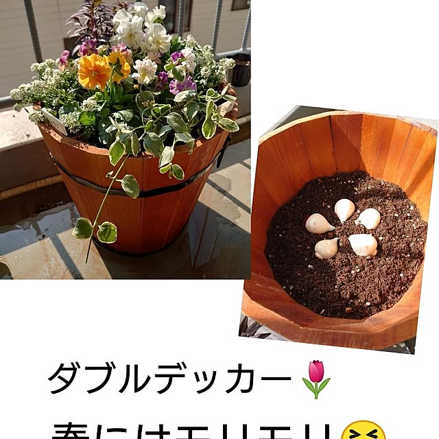 toramamaさんの実例写真