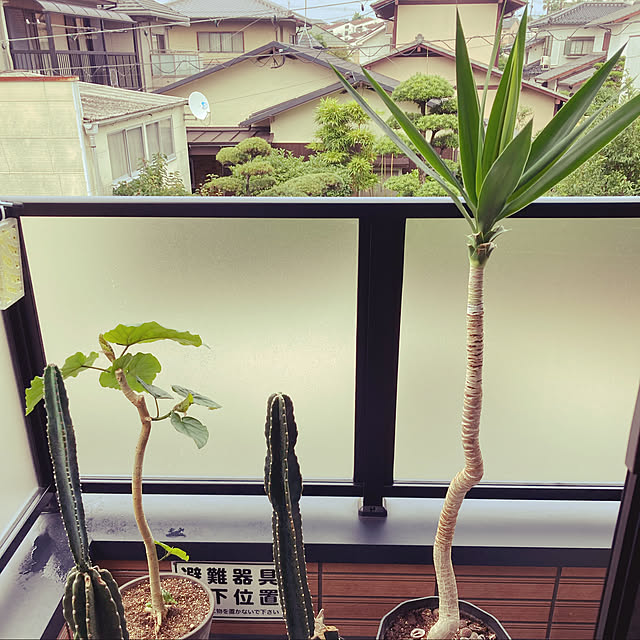 satatinさんの実例写真