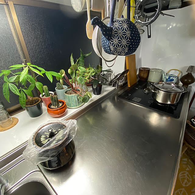nomaooyaさんの部屋