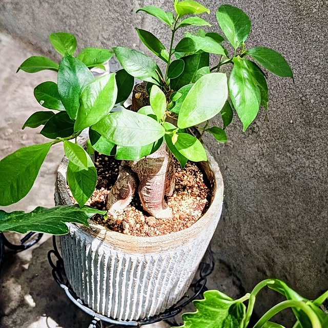 hanachanさんの部屋