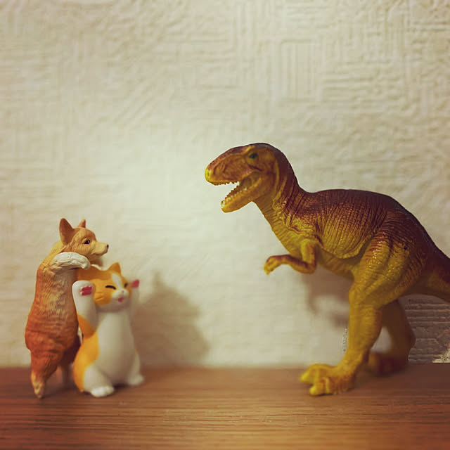 kazukichiさんの実例写真