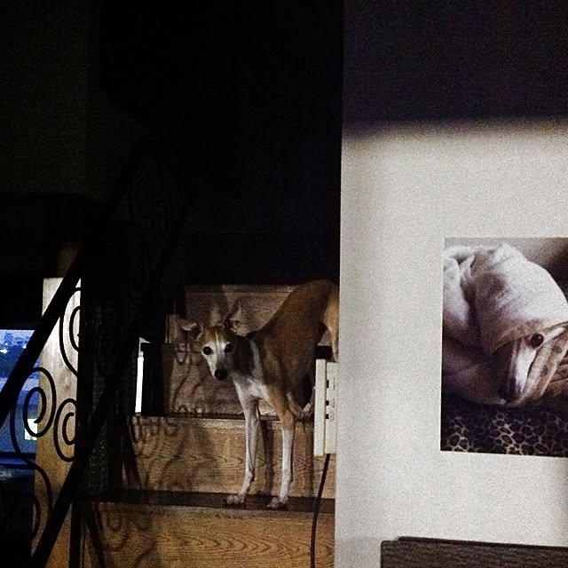 facebook.oceandeerさんの実例写真
