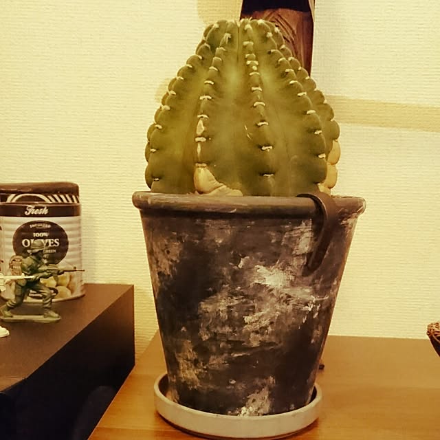 rrikiyさんの実例写真