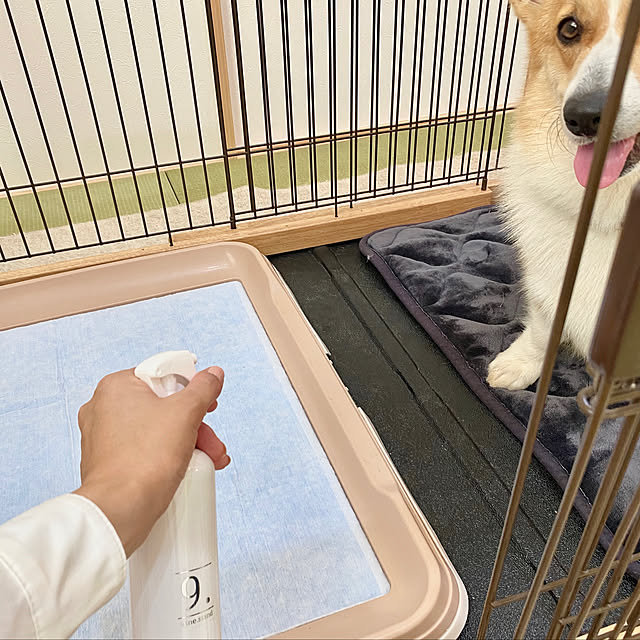 Kanamaruさんの実例写真