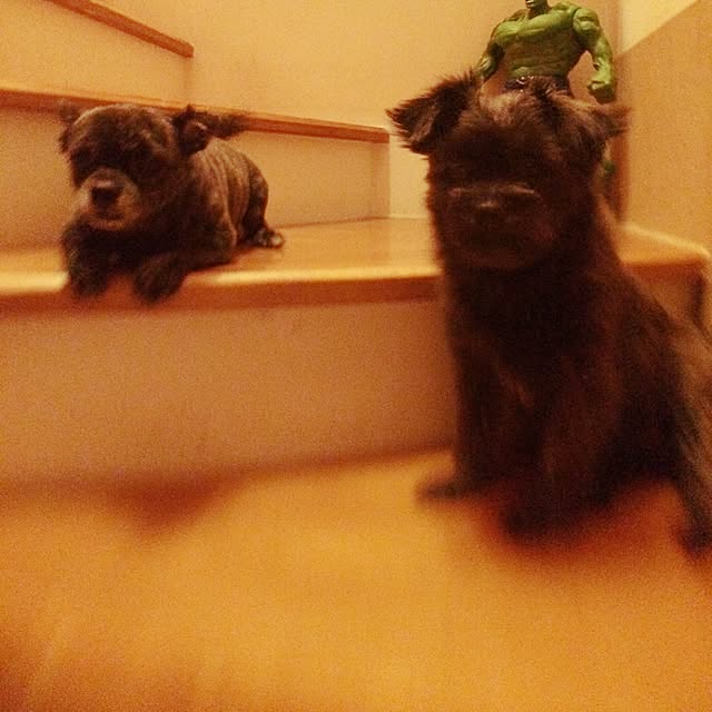 Thammaratさんの実例写真