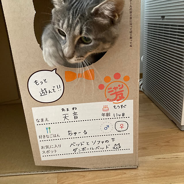 Yuccaさんの実例写真