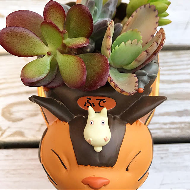 **yuu**さんの実例写真