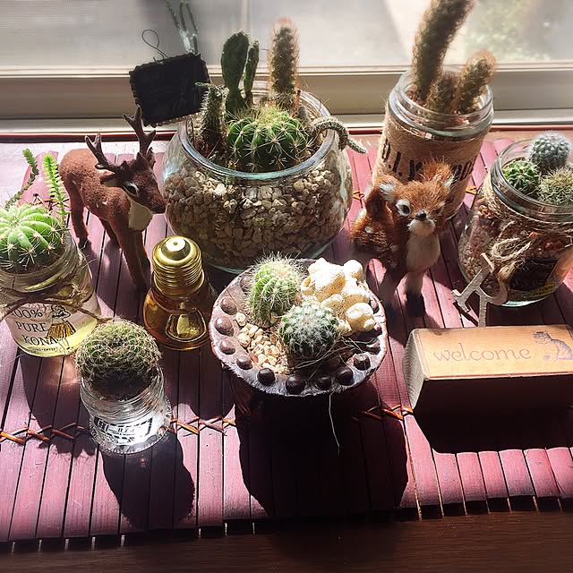 mintさんの実例写真