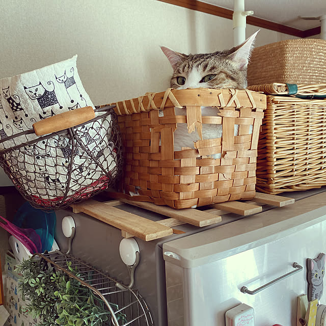 Lufuさんの実例写真