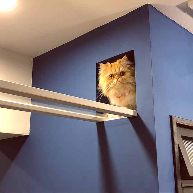 Naokoさんの実例写真