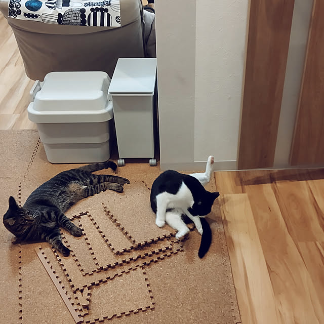 hihaさんの実例写真