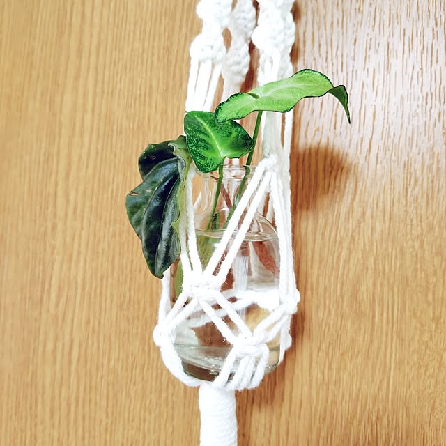 nachiさんの部屋