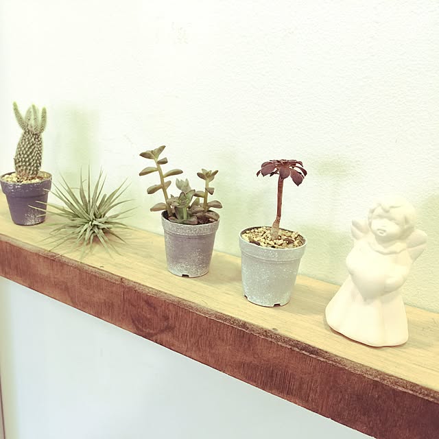 takeさんの実例写真