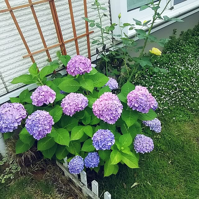 satoさんの実例写真