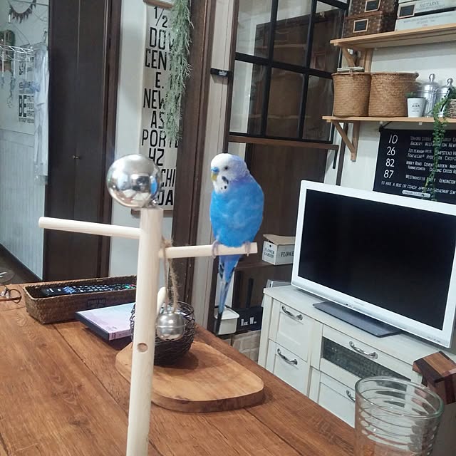 opiopiopiさんの実例写真