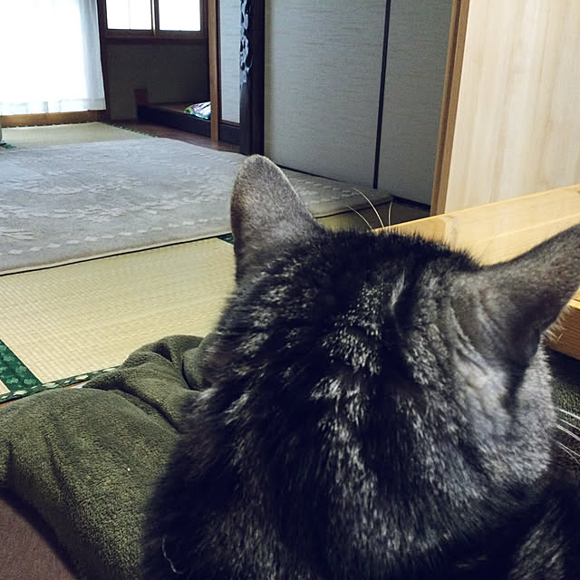 richanさんの実例写真