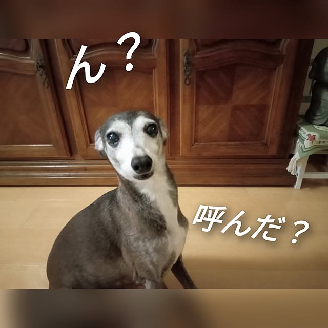 moruさんの部屋