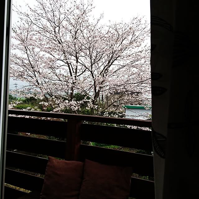 Akemiさんの実例写真