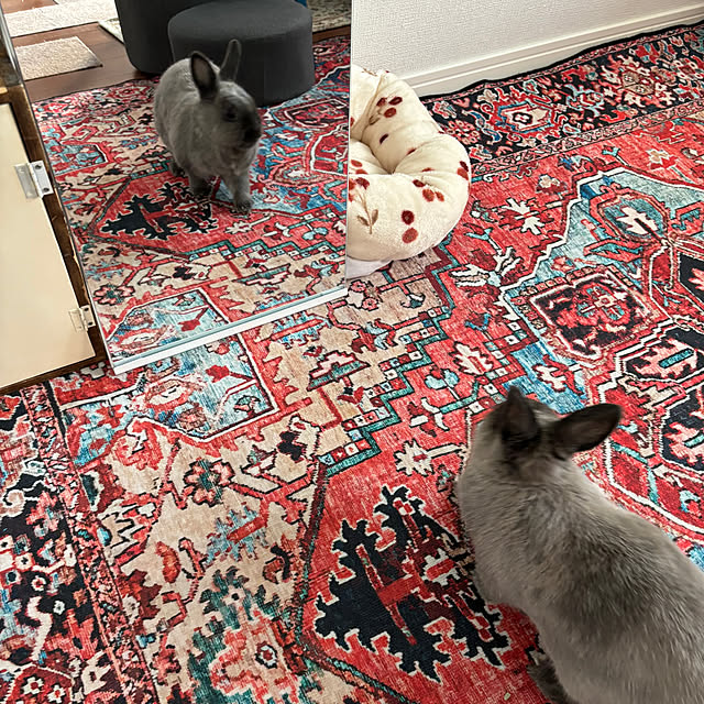 kirariさんの実例写真