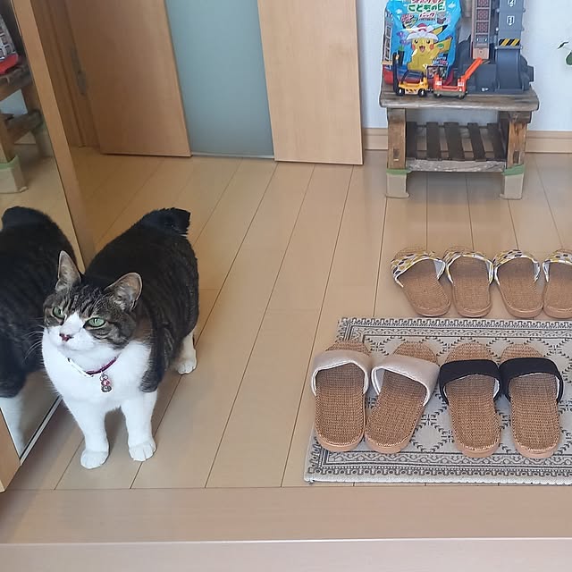 civicglさんの部屋