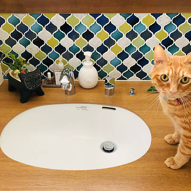 Maruさんの実例写真