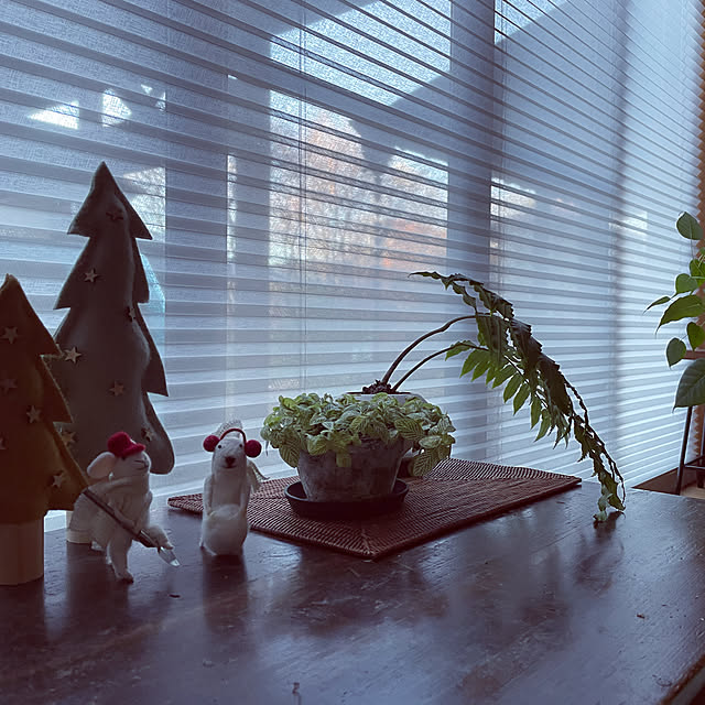 marucoさんの実例写真