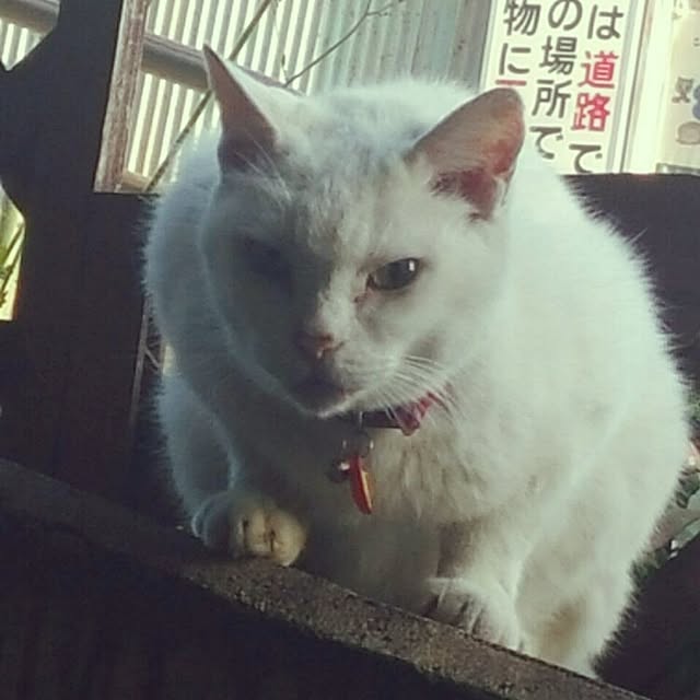 kayotannさんの実例写真
