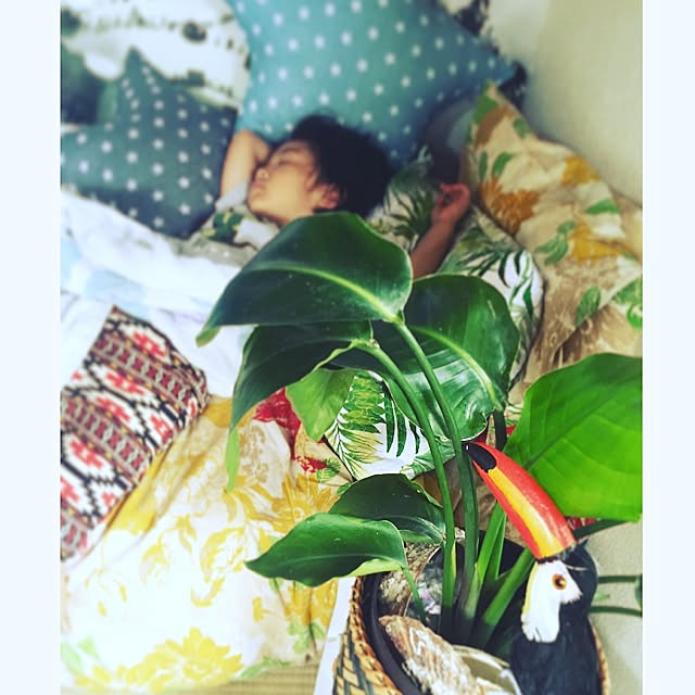 xxx.wow.さんの実例写真