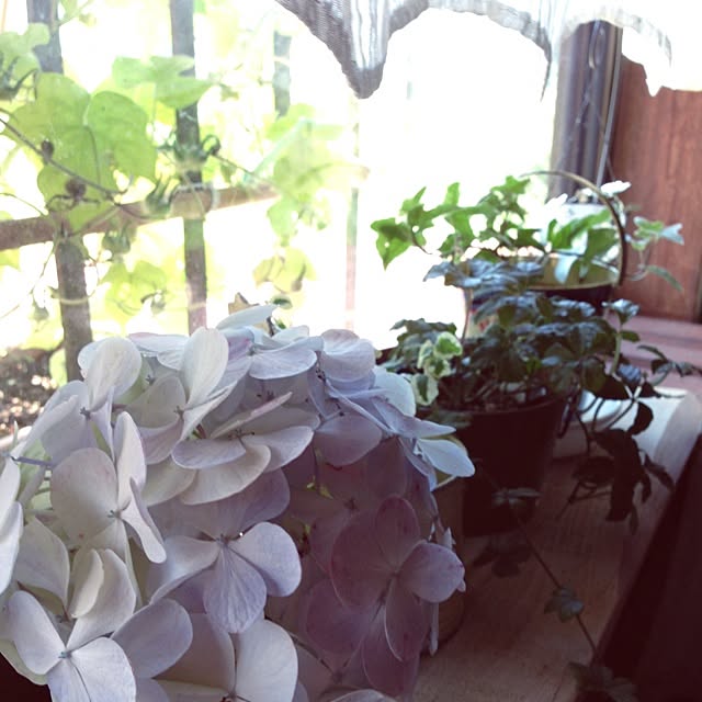 部屋全体のインテリア実例 - 2014-07-29 09:21:06