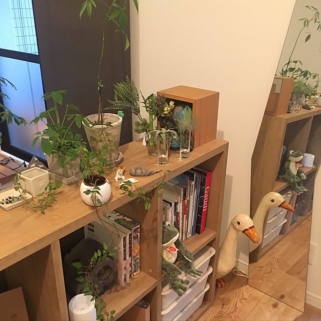 shirokumaさんの実例写真