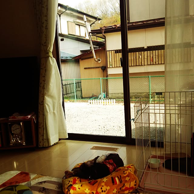 Hitomiさんの実例写真