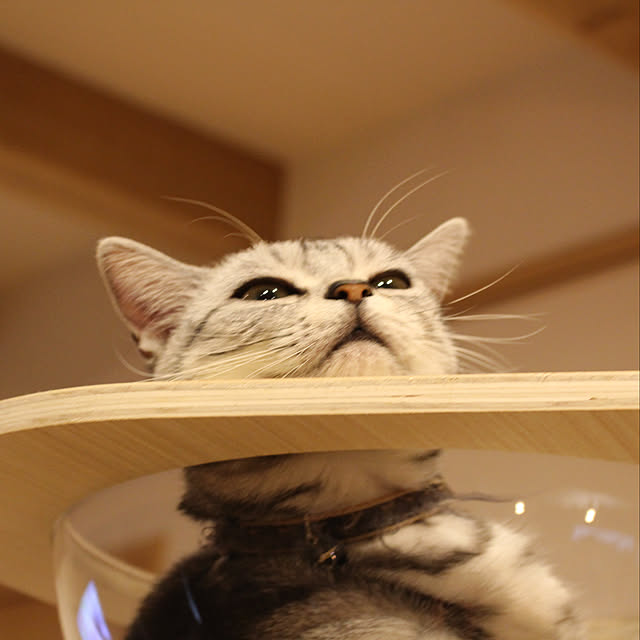 Aさんの実例写真