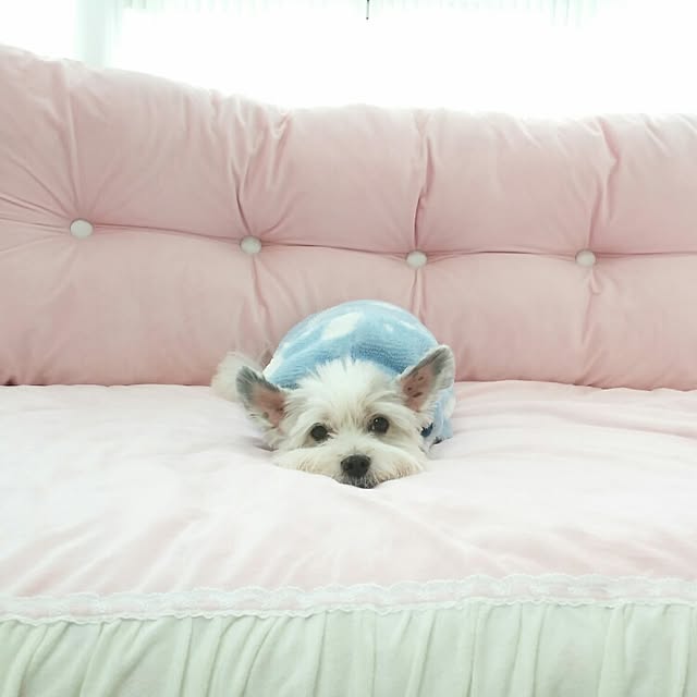 eunmiさんの実例写真