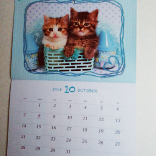 Tomopさんの実例写真