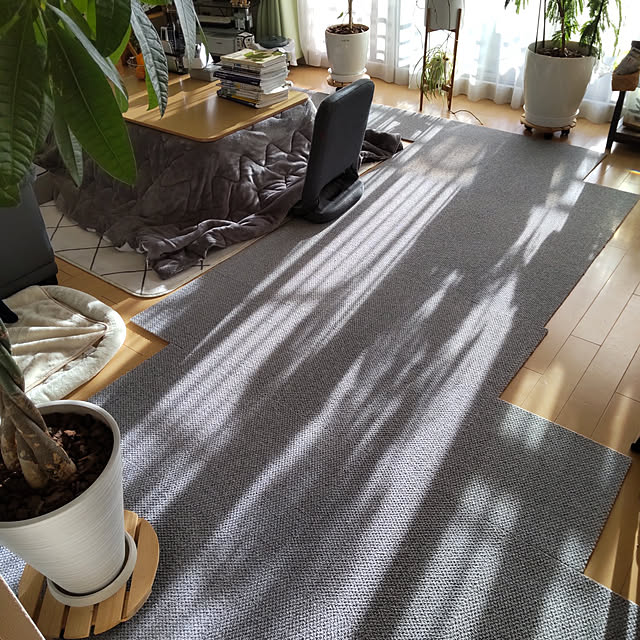 akipopoさんの実例写真