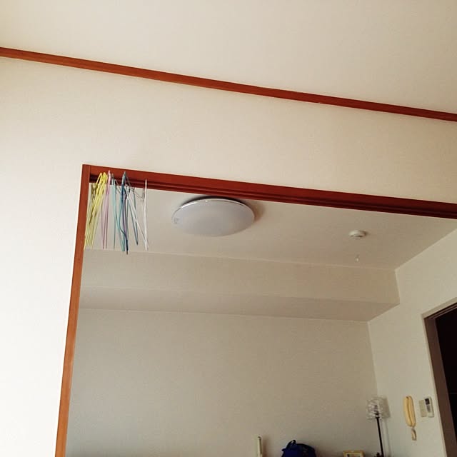 Singing_Dogさんの実例写真