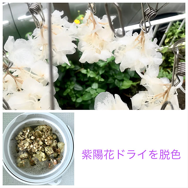 asako.10さんの実例写真