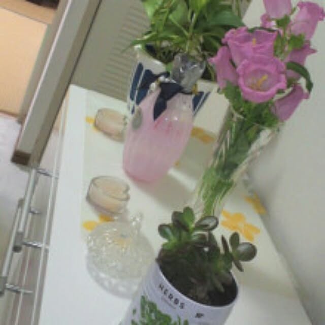玄関/入り口のインテリア実例 - 2016-03-03 23:57:10