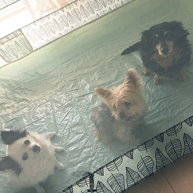 ohanaさんの実例写真