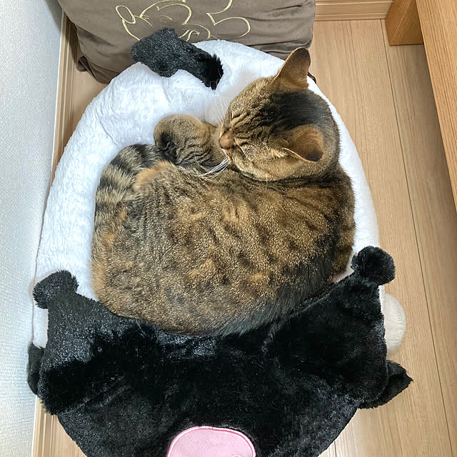 kirinsanさんの部屋