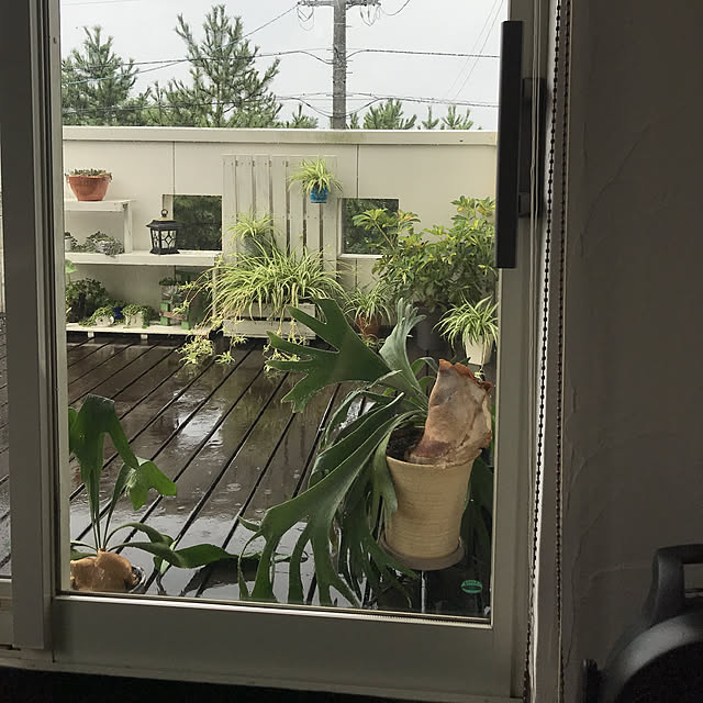 taguさんの実例写真
