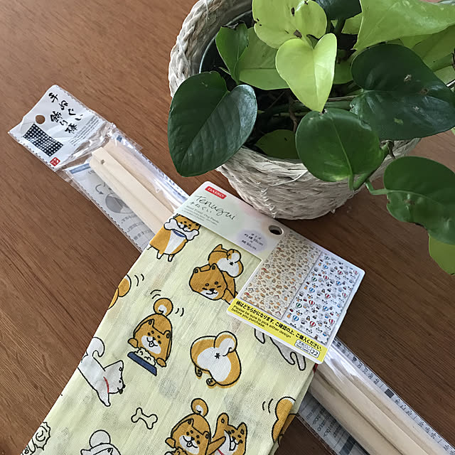 alchoさんの実例写真