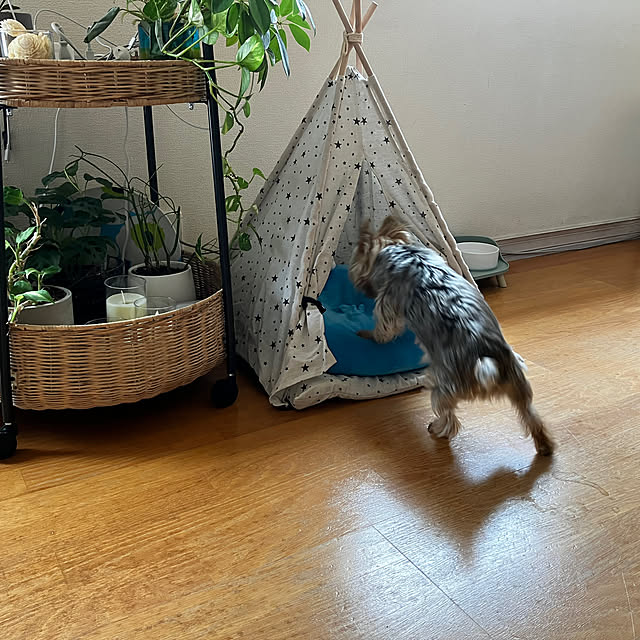 Lukeさんの部屋