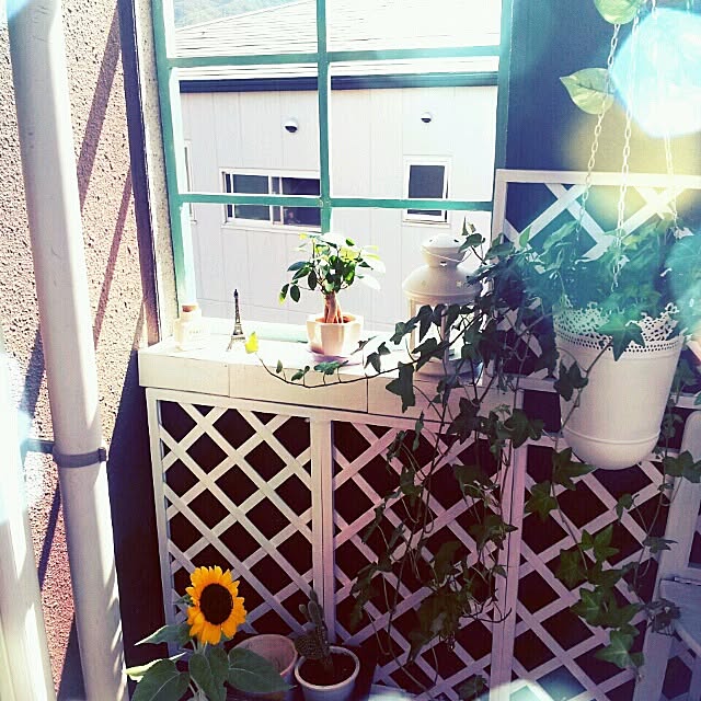 moryさんの実例写真