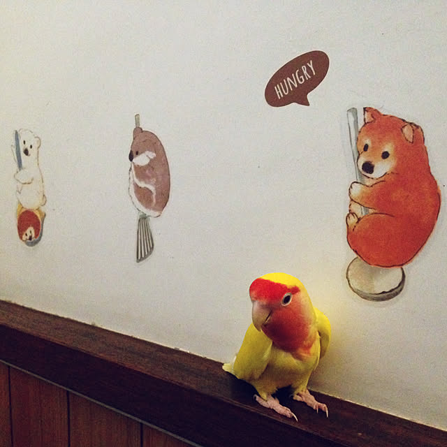 aoinokimiさんの実例写真