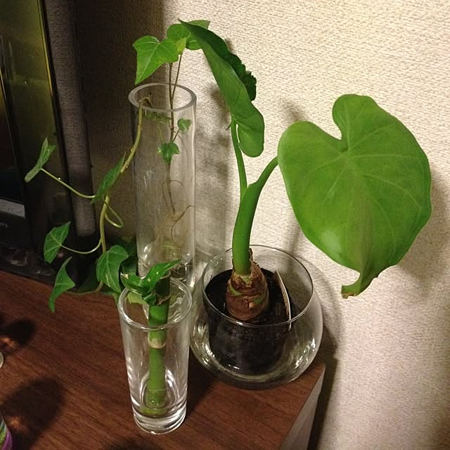 Midoroさんの実例写真