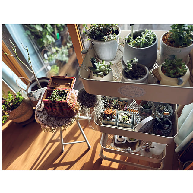 CoCo0617さんの実例写真