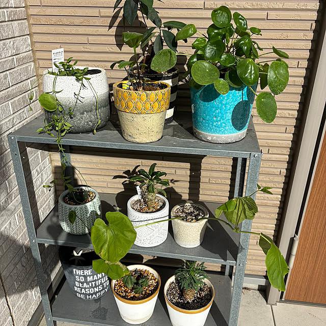 mippyさんの実例写真